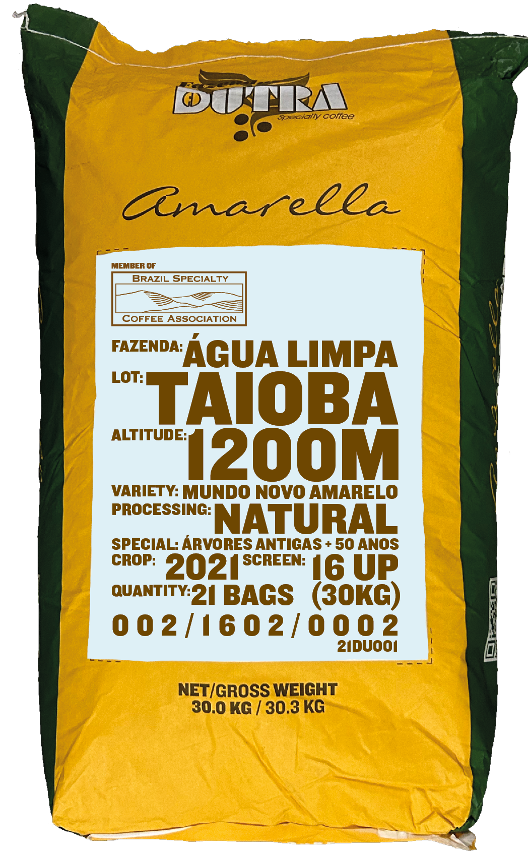 Taioba, Mundo Novo Amarelo