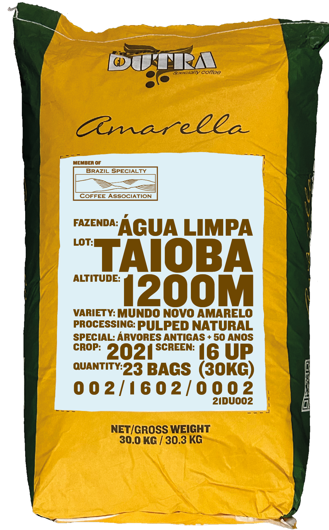 Taioba, Mundo Novo Amarelo
