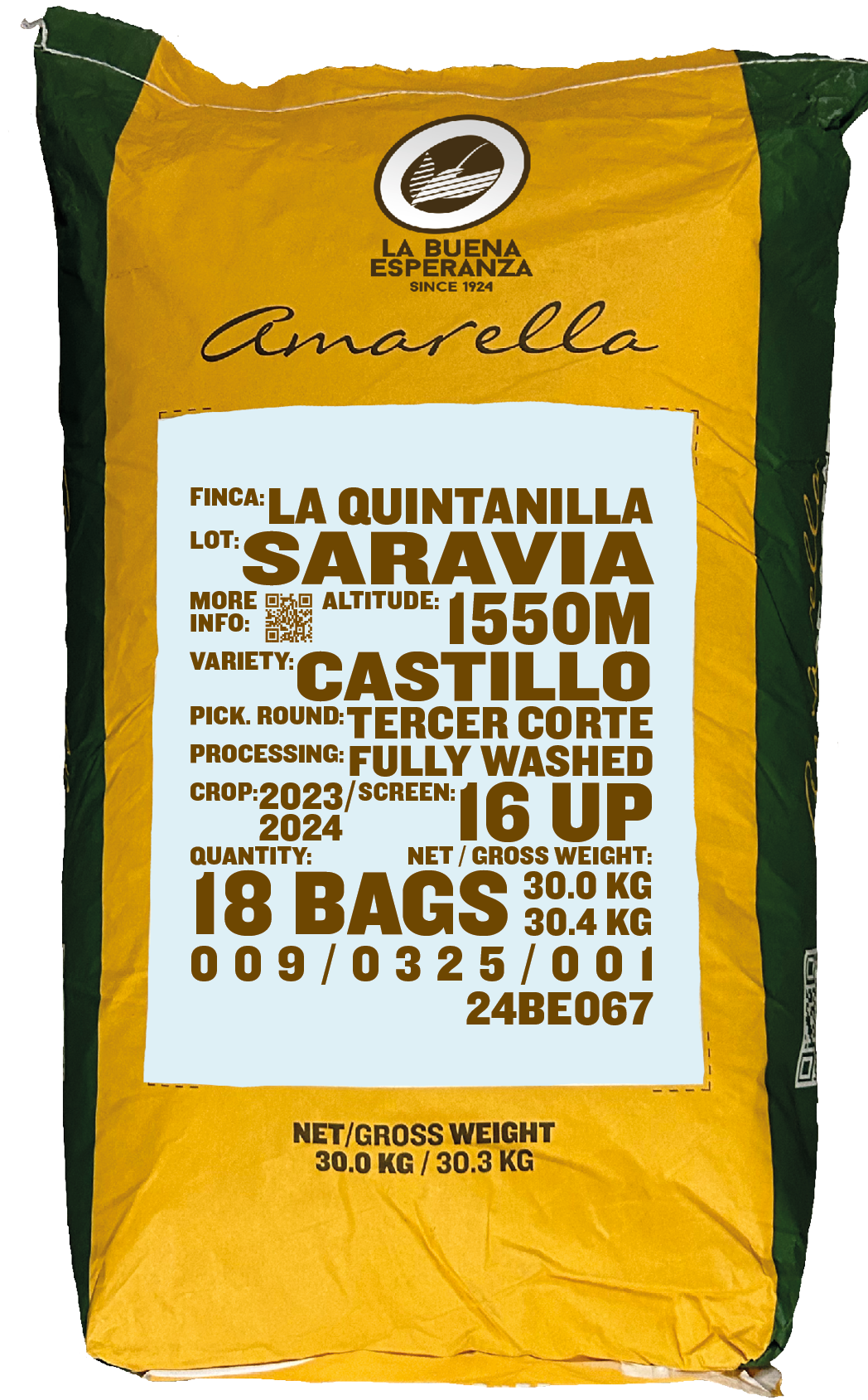 Saravia, Castillo