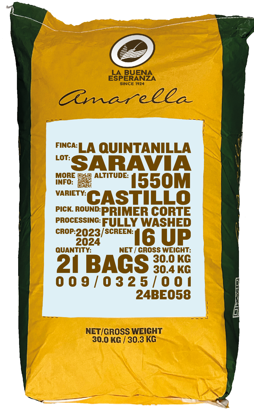 Saravia, Castillo