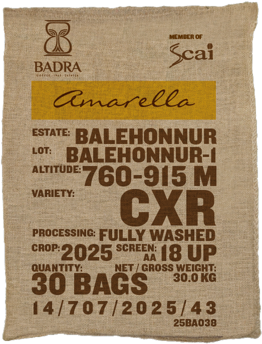Balehonnur-1, CxR