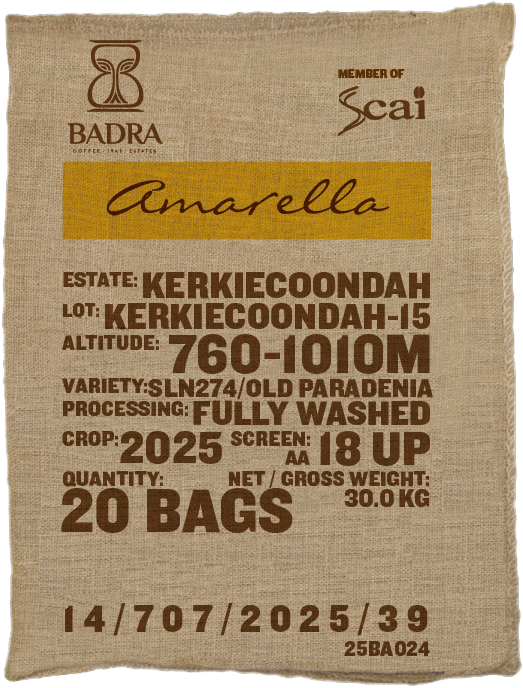 Kerkiecoondah, SLN 274 / Old Paradenia