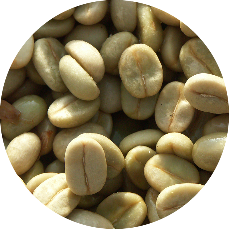 Rohkaffee_Teaser_Circle_800x800.png?ts=1610550181