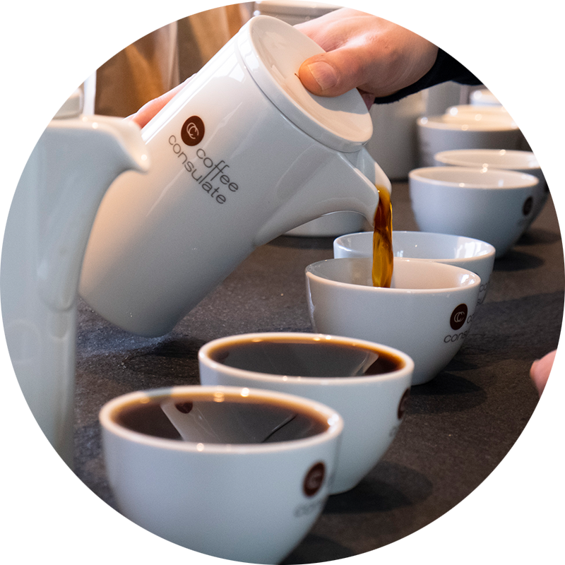 Cuptastings_Teaser_Circle_800x800.png?ts=1610550179